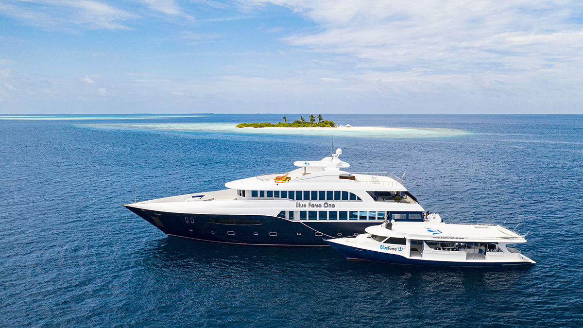 1 MALDIVES BLUE FORCE ONE