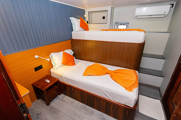 Standard Bunk