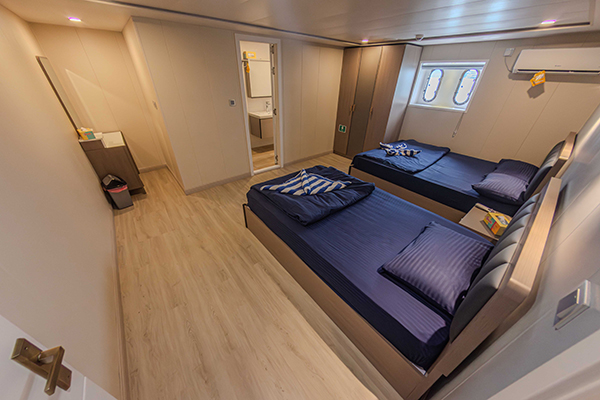 Lower Deck Twin