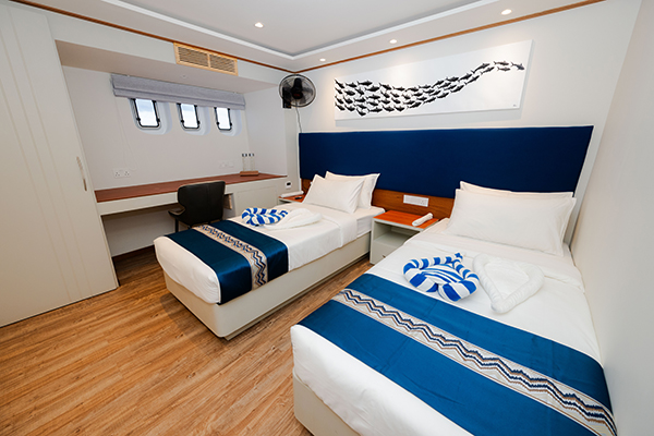 Lower Deck Twin