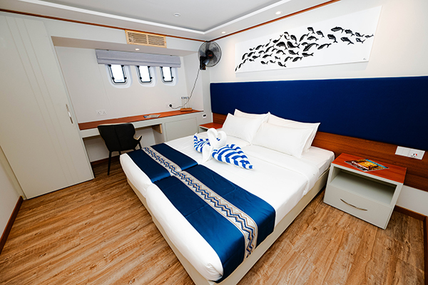 Lower Deck Double